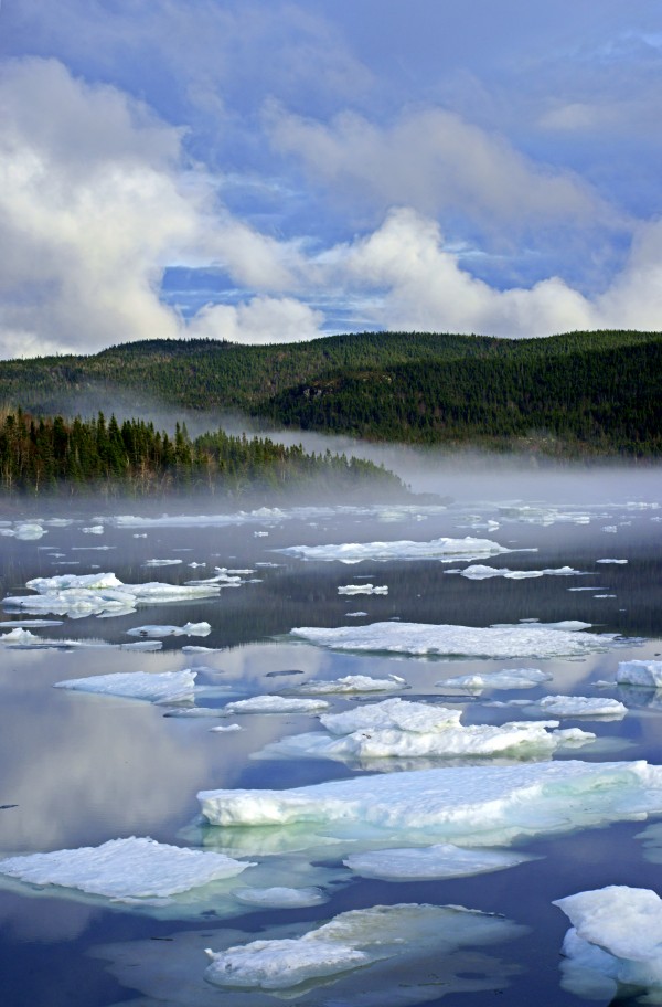 ice pans Print
